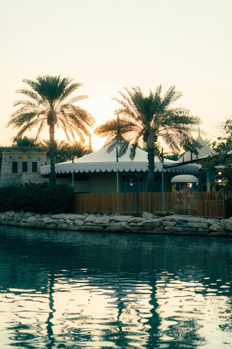A villa garden with palms in Jumeirah